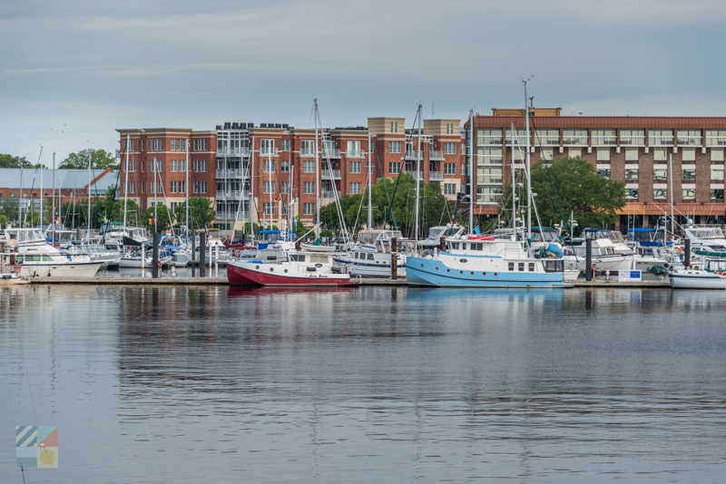 Fishing charters are available in downtown New Bern
