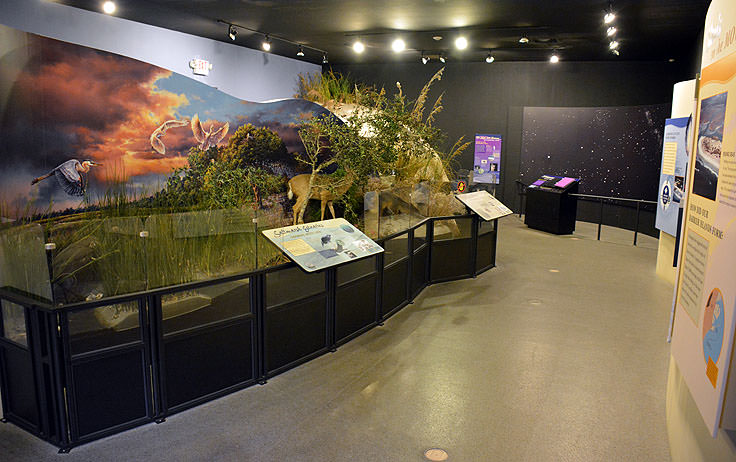 Exhibits at Hammocks Beach State Park
