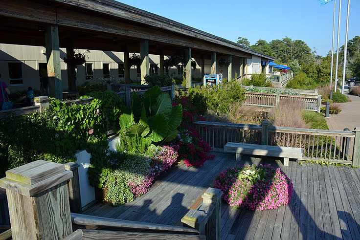 Exterior view of the N.C. Aquarium at Pine Knoll Shores