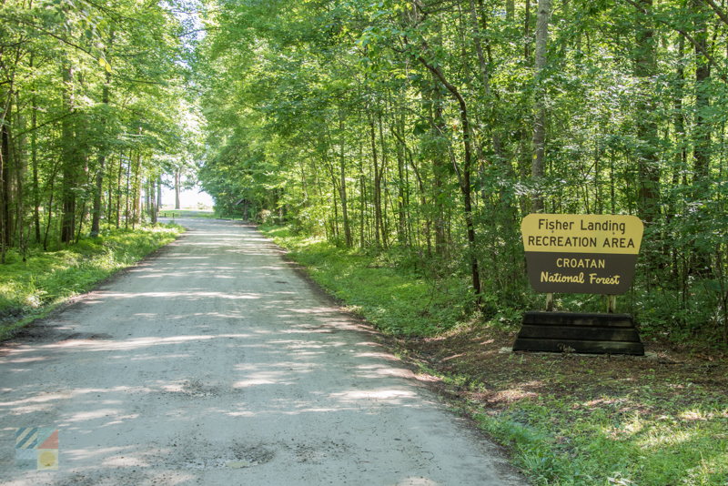 Croatan National Forest