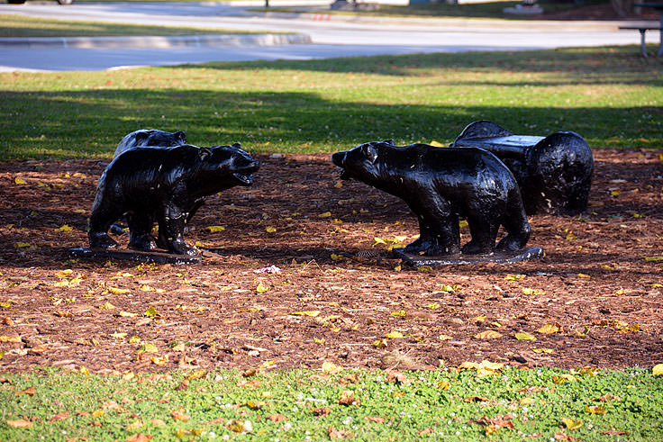 Baby bear sculptures at Union Point Park in New Bern, NC