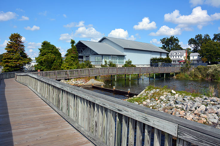 wooden walkway at the NC Estuarium in Washington, NC