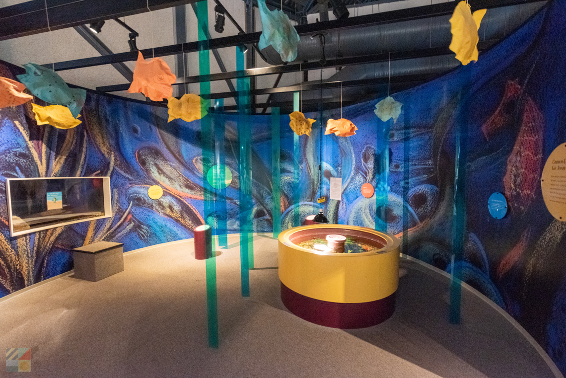 NC Estuarium Washington NC