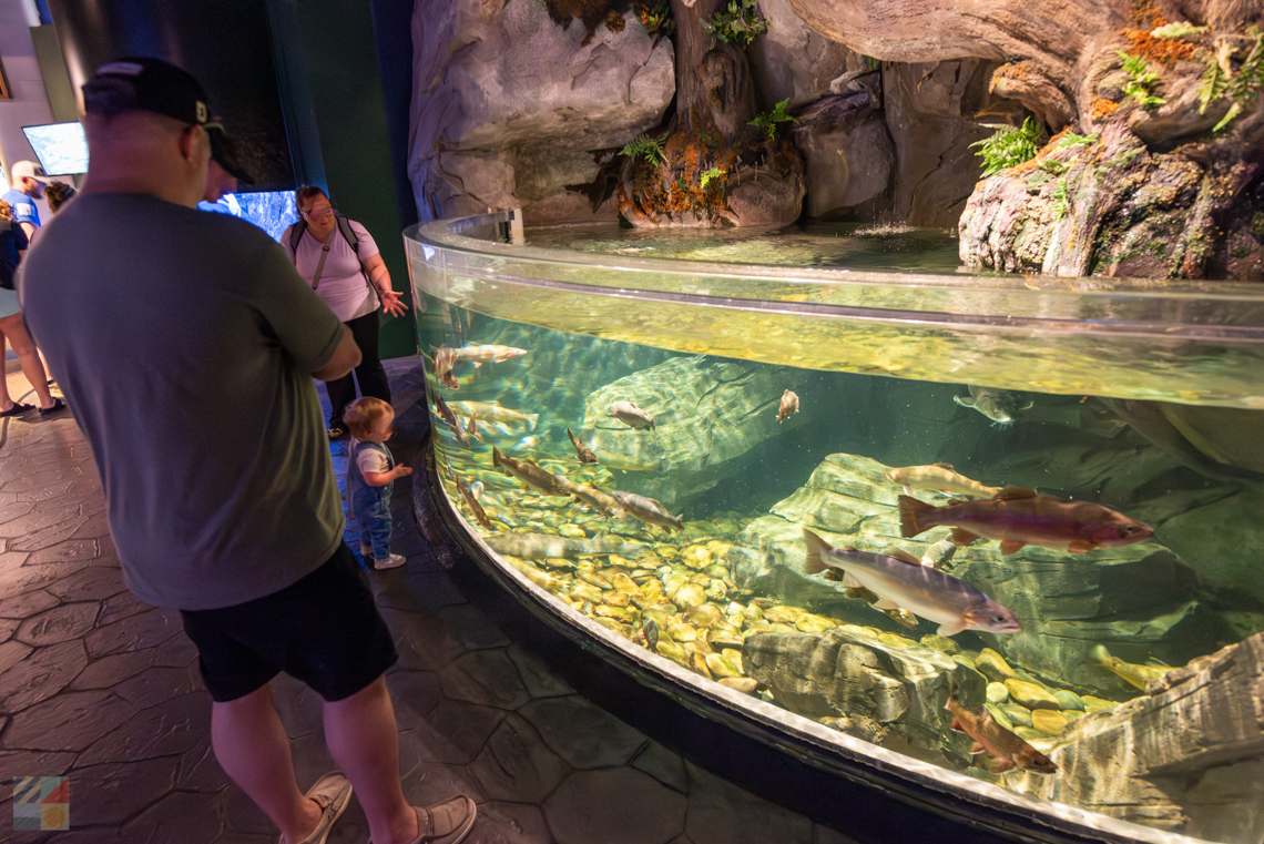 NC Aquarium Pine Knoll Shores