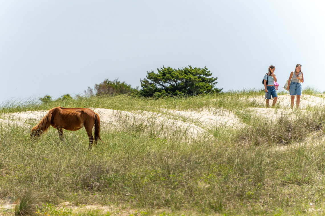 Shackleford Banks