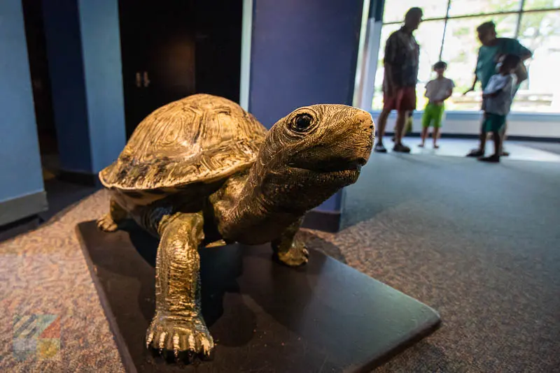 NC Aquarium at Pine Knoll Shores