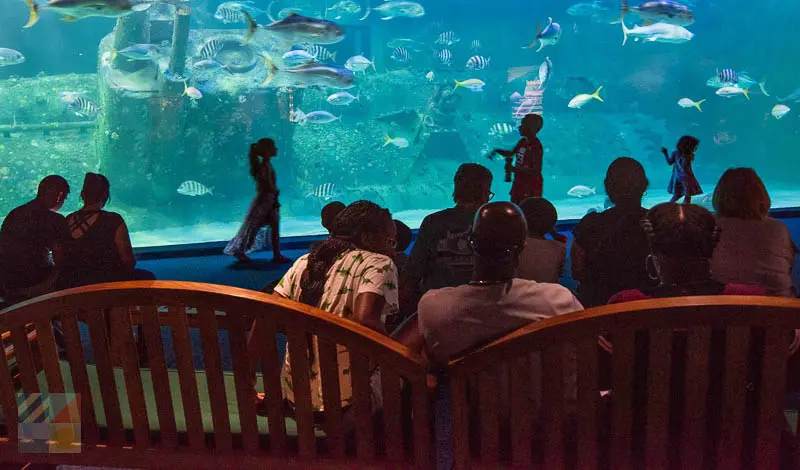 NC Aquarium at Pine Knoll Shores