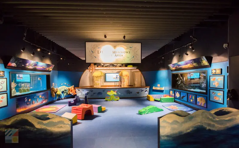 Exhibits at N.C. Aquarium at Pine Knoll Shores