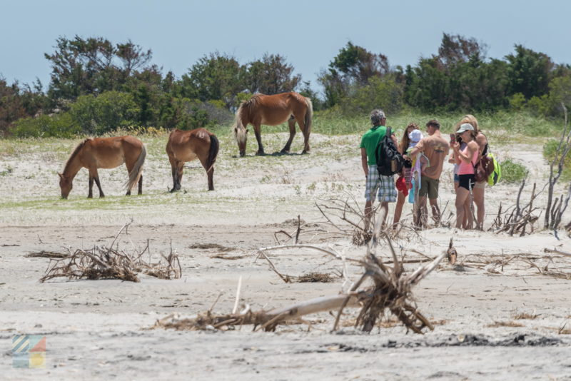 Shackleford Banks