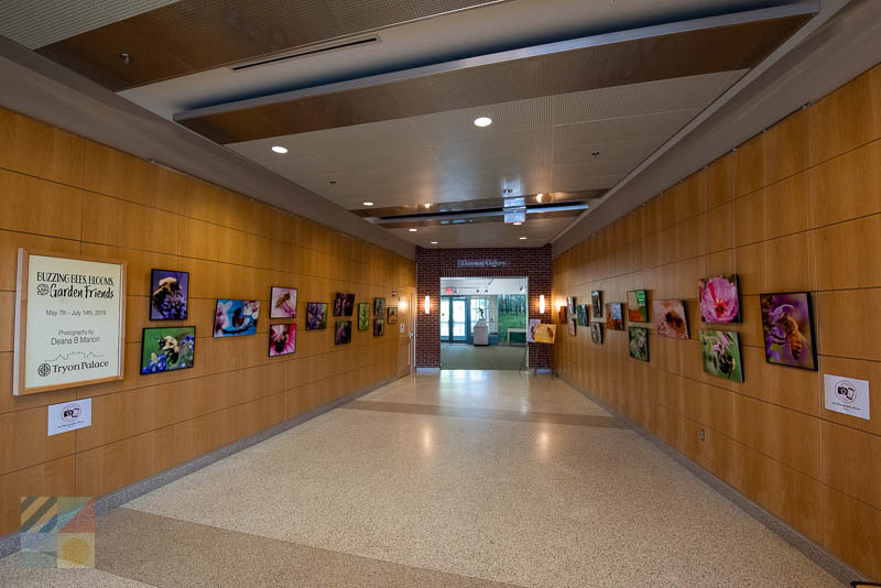 North Carolina History Center