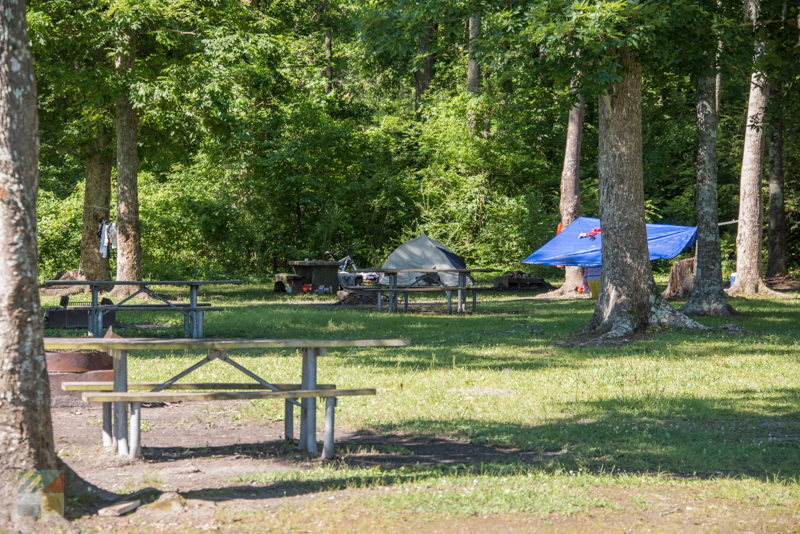 Fisher Landing Recreation Site