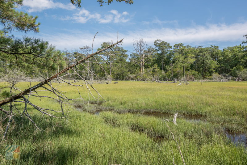 Theodore Roosevelt Natural Area