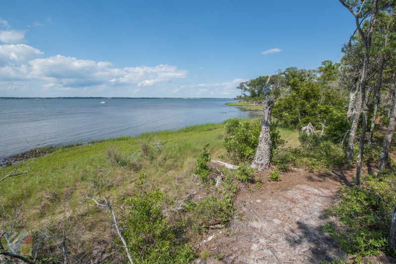 Theodore Roosevelt Natural Area