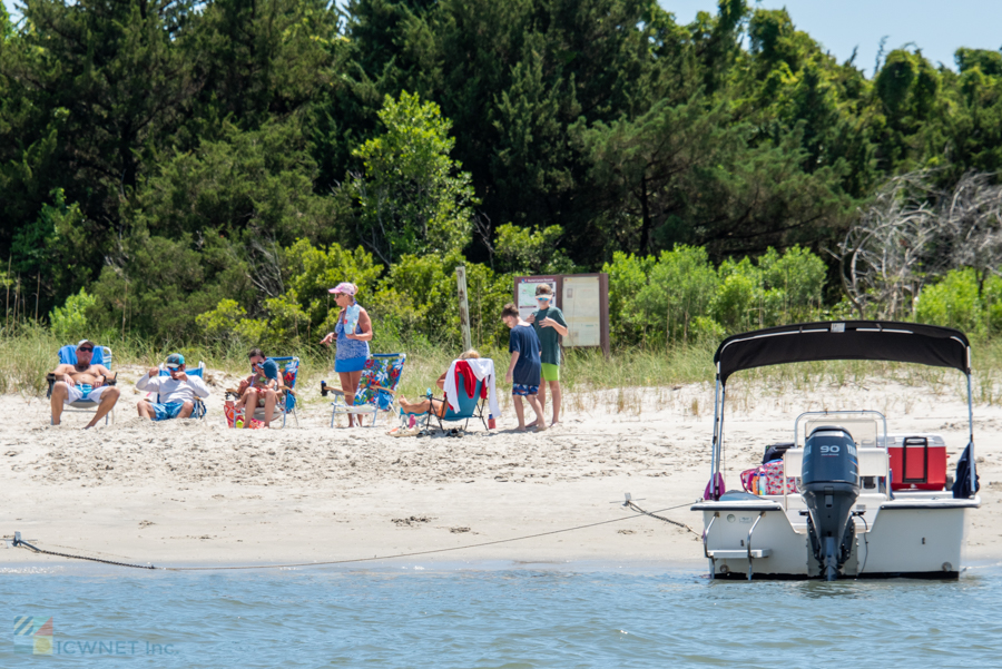 Beach Day at the Rachel Carson Reserve