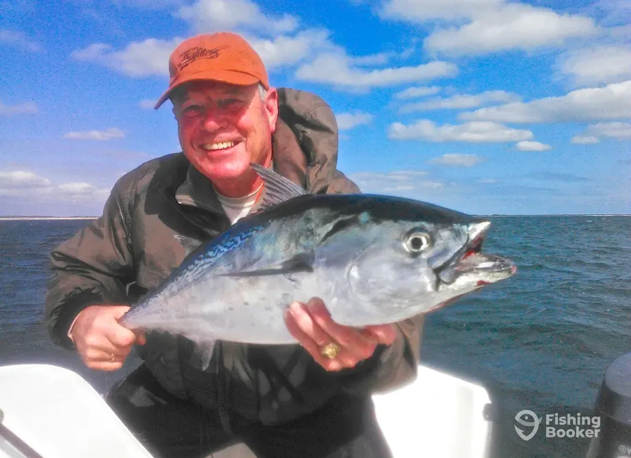 Flying Fish Charters charter image 4