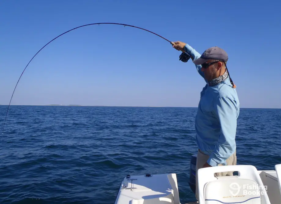 Flying Fish Charters charter image 5