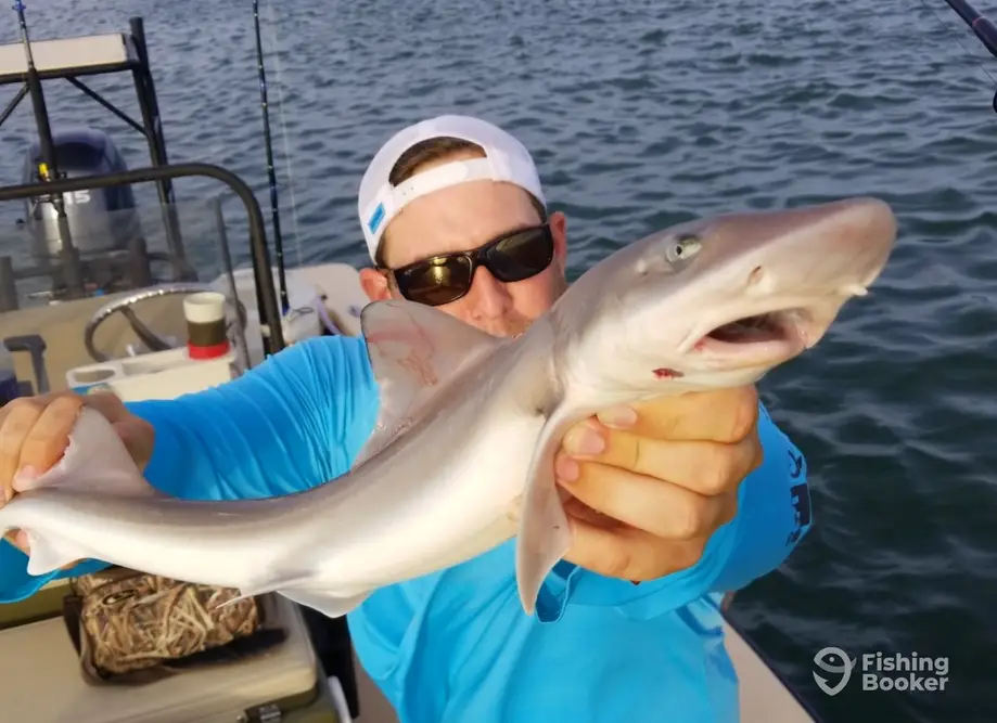 Sound-N-Sea Charters charter image 3