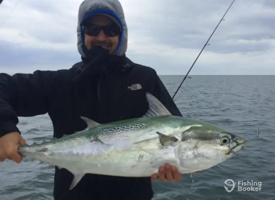 Waterdog Guide Service – 28’ charter image 3