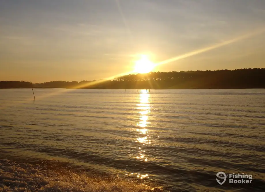 Buddy Buoys Charters charter image 5