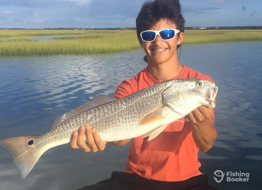 On Deck Charter Fishing charter image 3