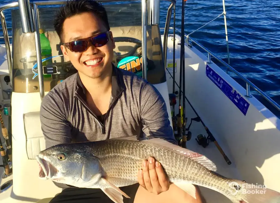 On Deck Charter Fishing charter image 4