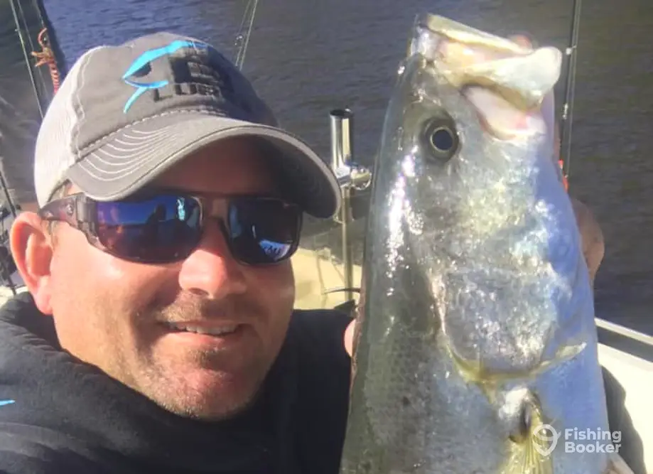 On Deck Charter Fishing charter image 5