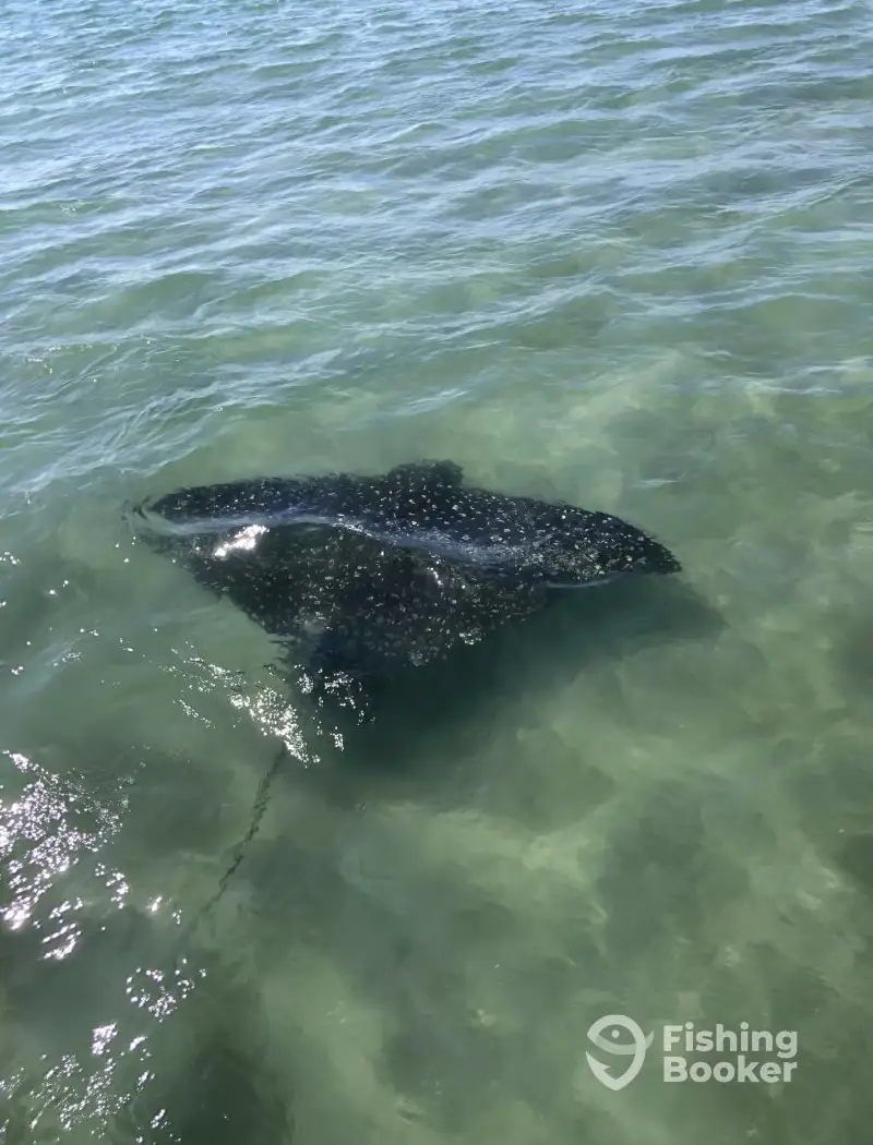 First Due Charters – Family Day charter image 5