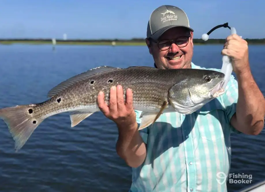 Friendly City Fishing Charters charter image 5