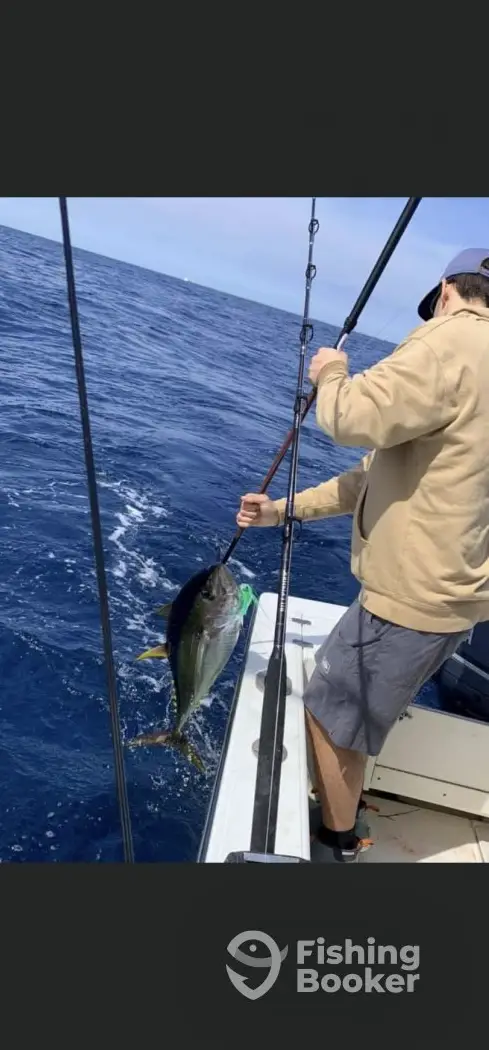 Captain Harrisons Charters charter image 2