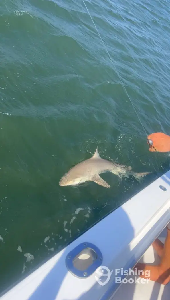 Captain Harrisons Charters charter image 3