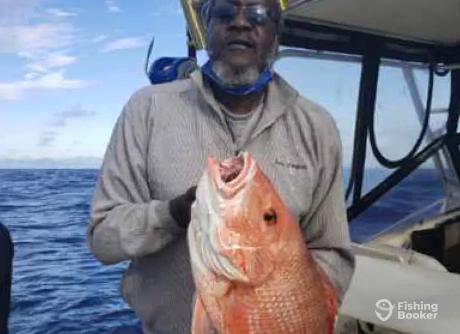 FishingBooker: Vermilion Snapper vs. Red Snapper