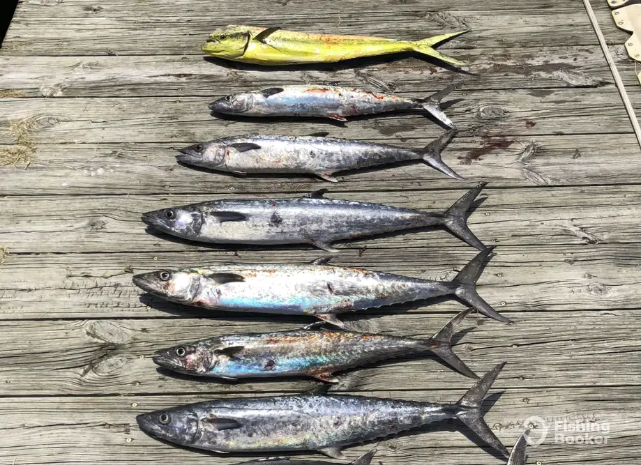 Ele Enterprises, Inc. charter image 3