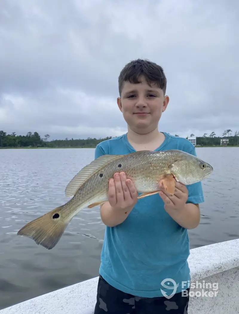 FinchasersUSA Charters charter image 6