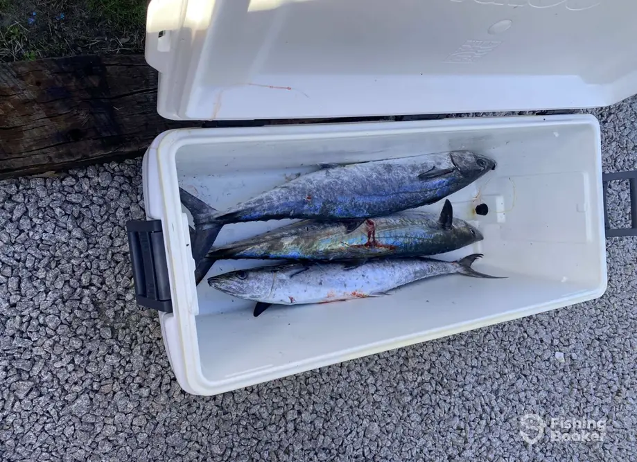 Buck Nasty Fishing Charters charter image 3