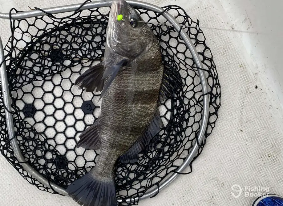 Buck Nasty Fishing Charters charter image 5