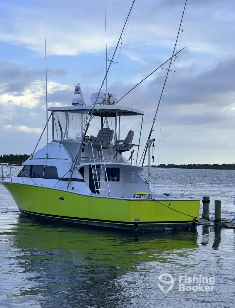 Tuna-Tic Charters charter image 2