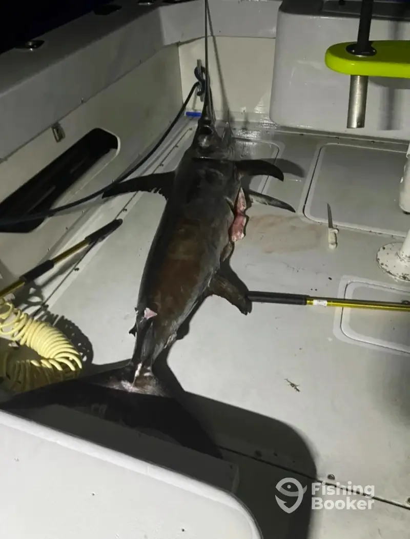 Tuna-Tic Charters charter image 4