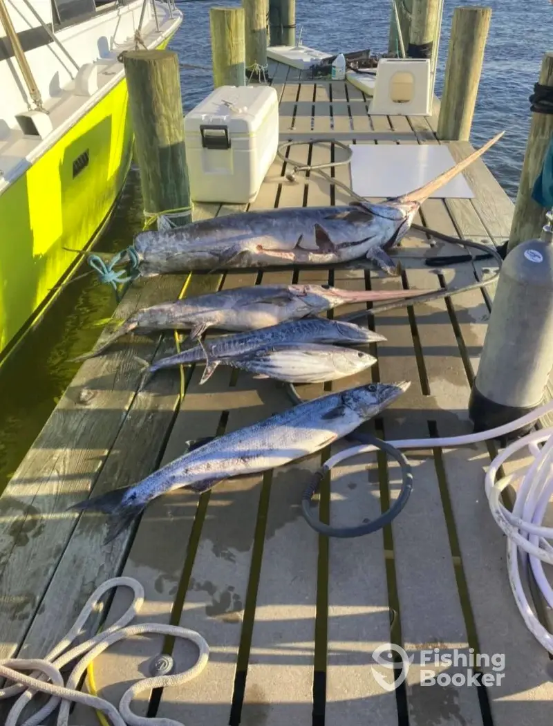 Tuna-Tic Charters charter image 6