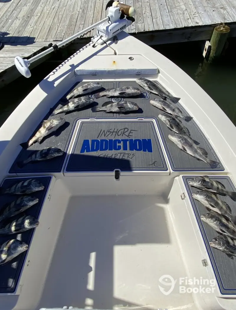 Inshore Addiction Charters charter image 3