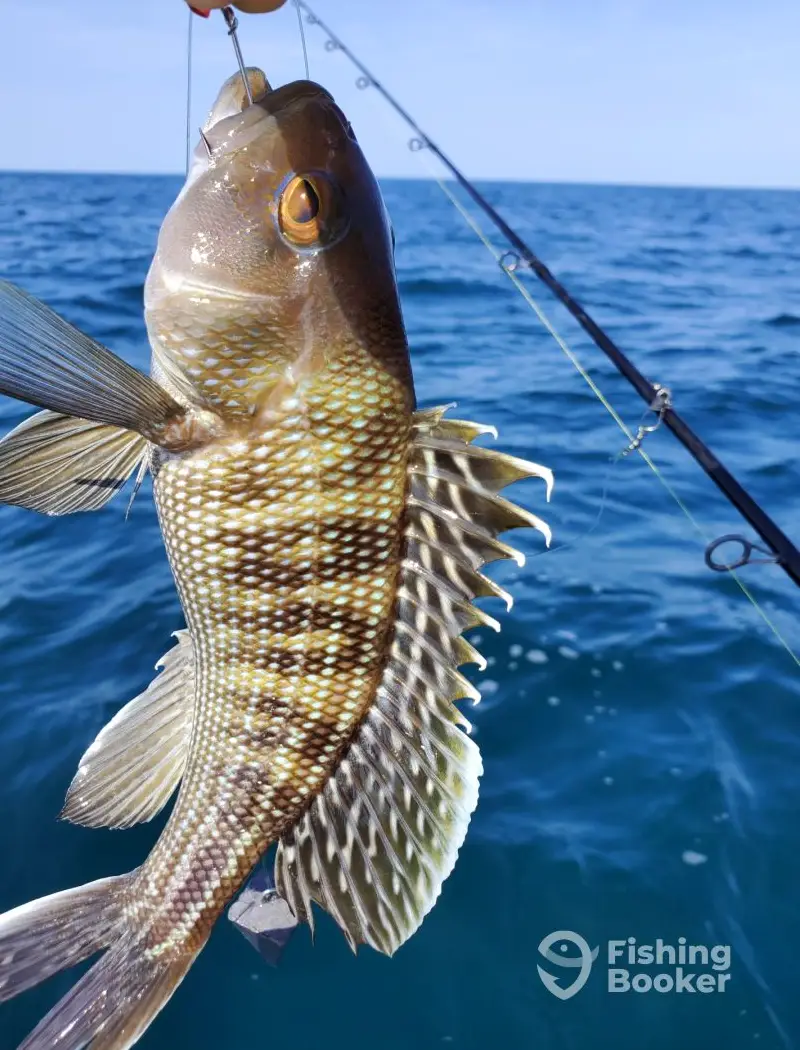 Discipleship Charters charter image 2