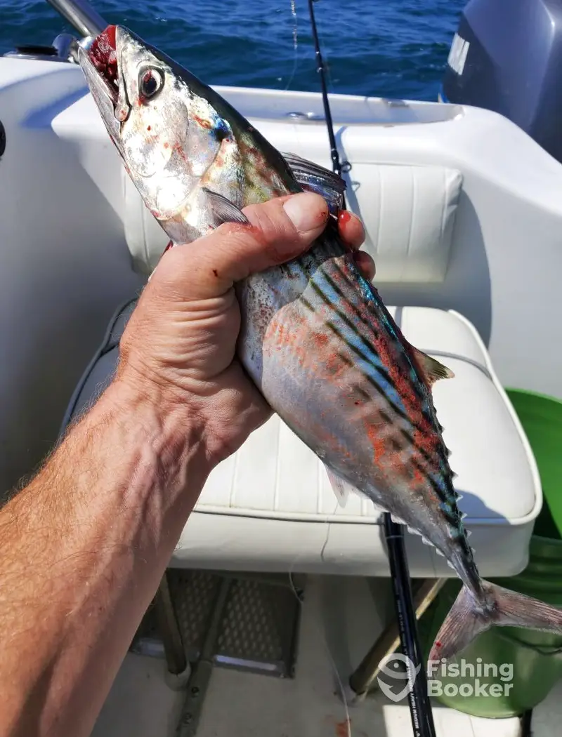 Discipleship Charters charter image 6