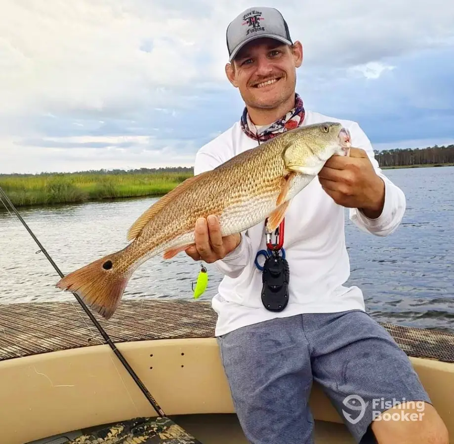 Neuse River inshore charter charter image 3