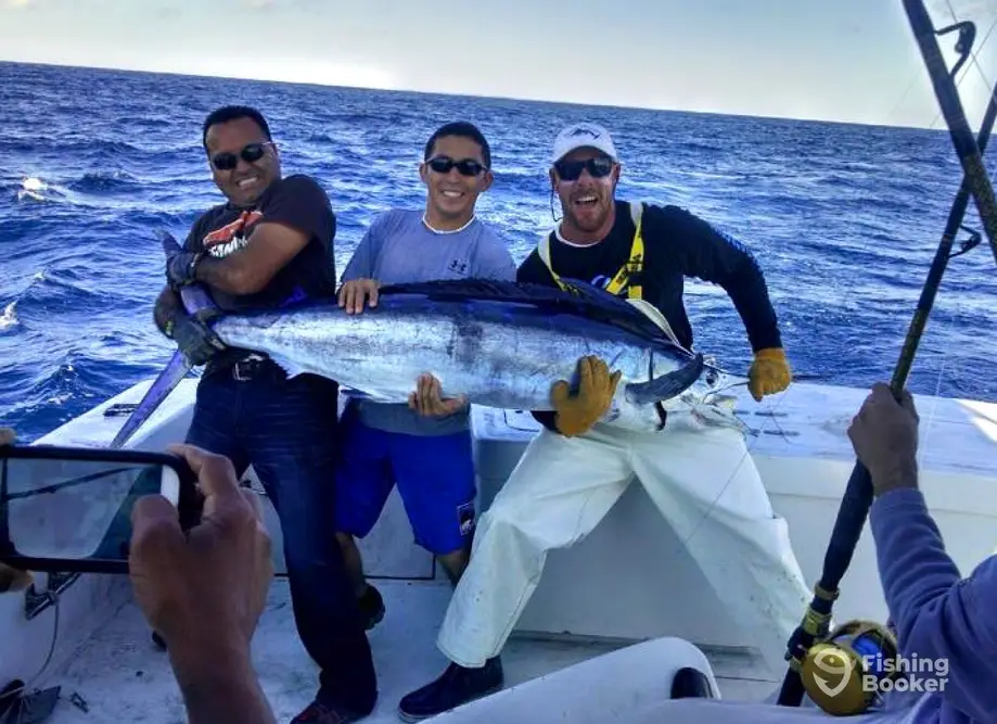 Beagle Charters charter image 3