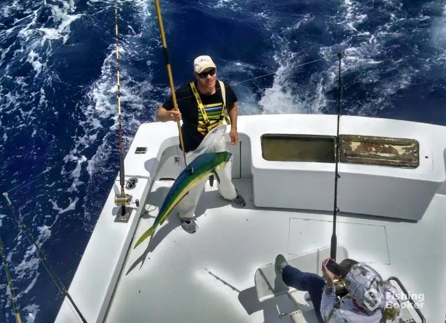 Beagle Charters charter image 4