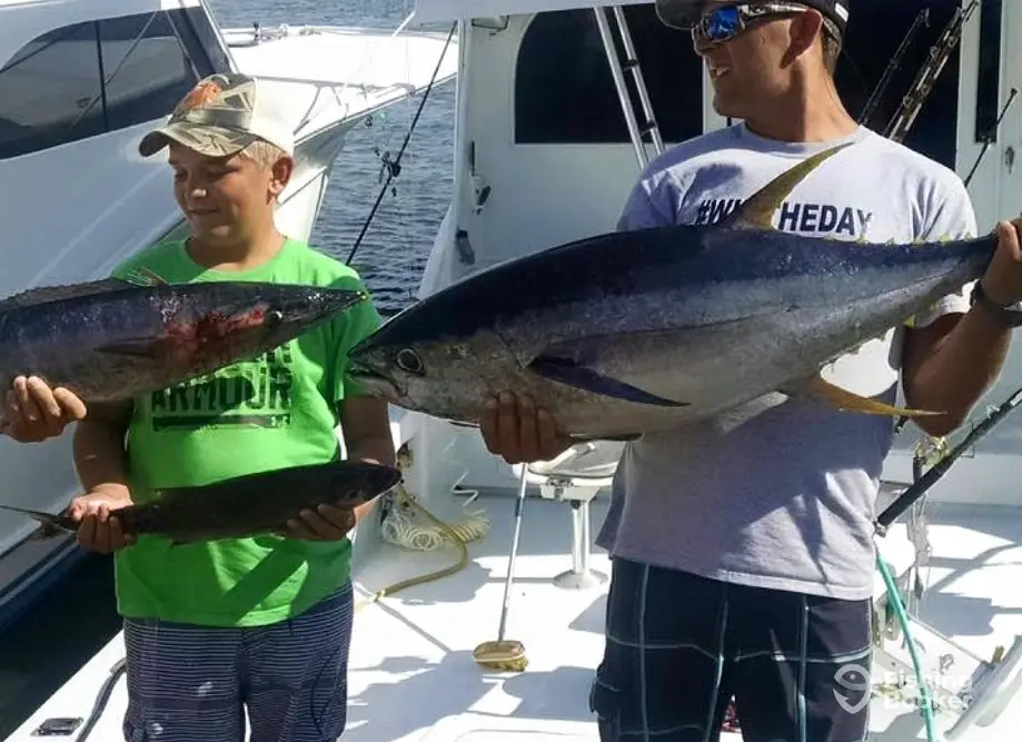 Beagle Charters charter image 5