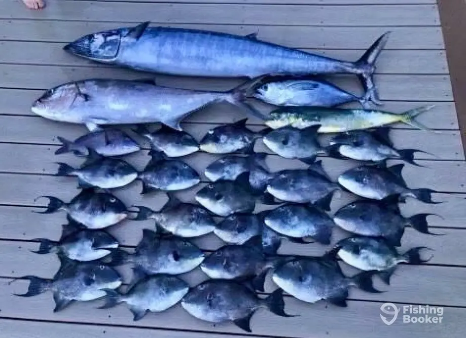 Hoo Hunter Sportfishing charter image 2