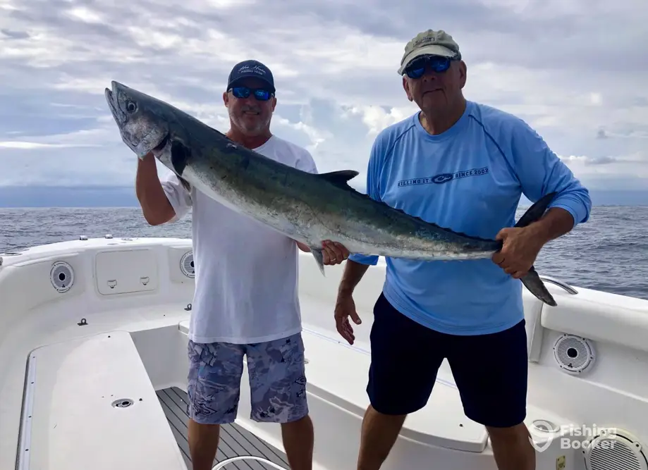 Hoo Hunter Sportfishing charter image 6