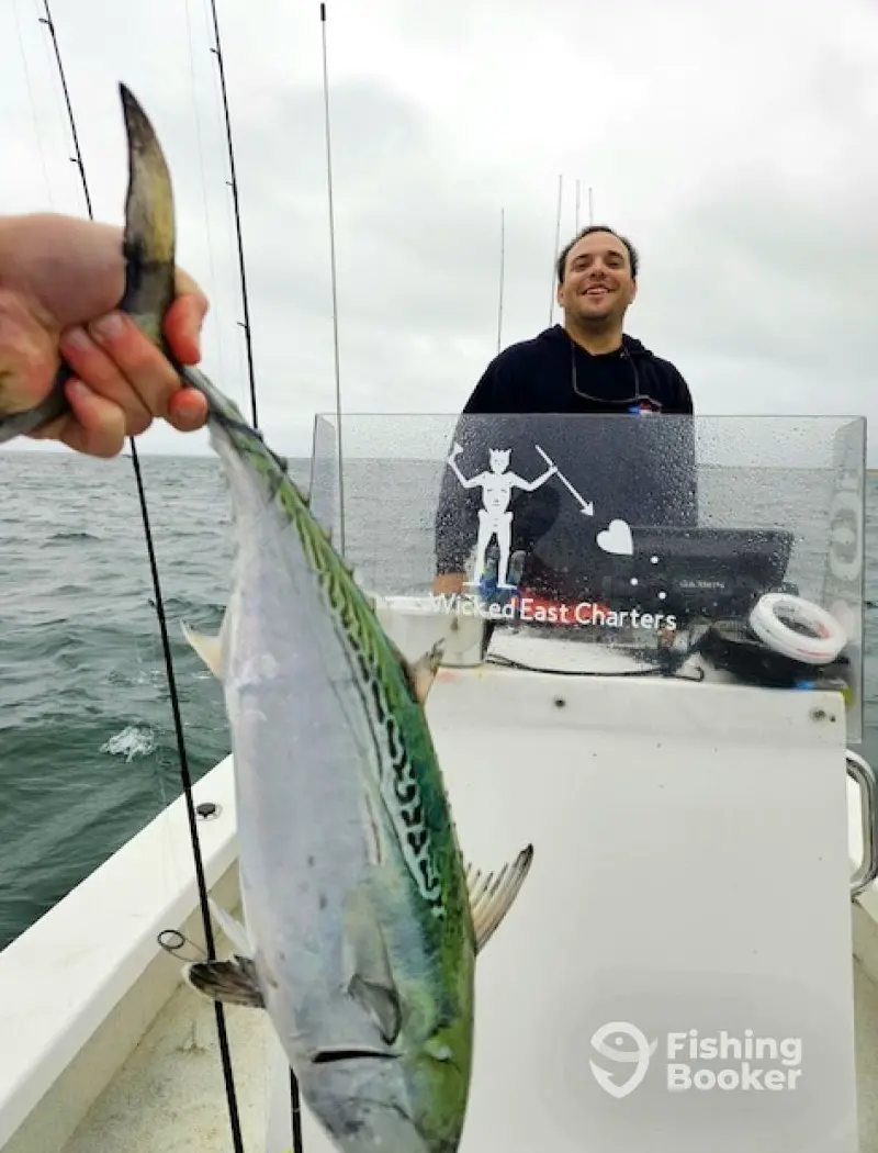 Wicked East Charters charter image 4