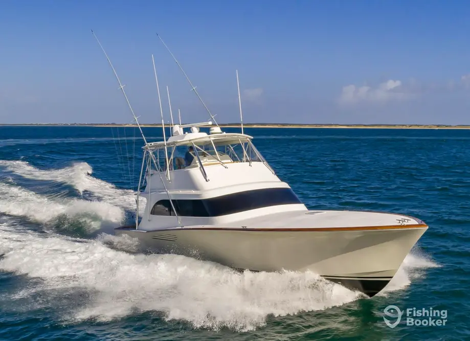 Custom Sportfishing charter image 2