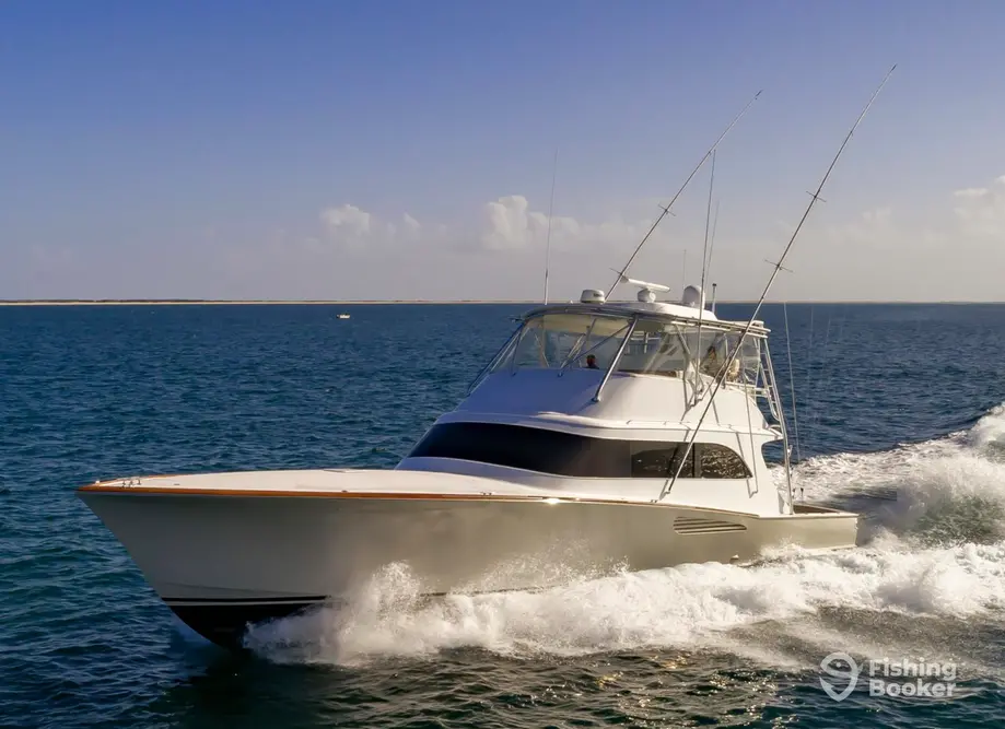 Custom Sportfishing charter image 4